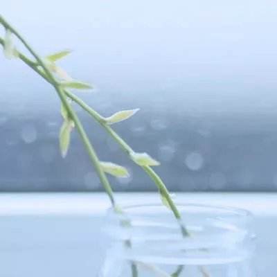 击碎玻璃免费版下载