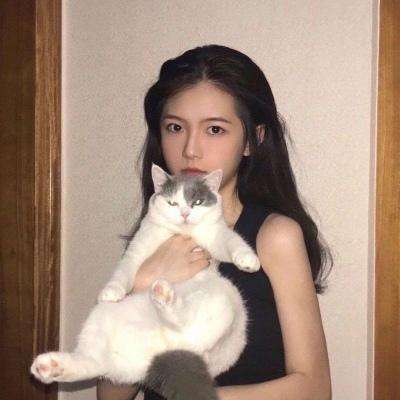 恐高赛车游戏下载